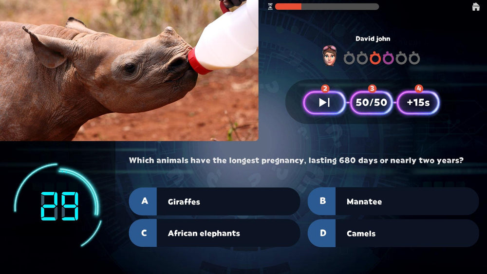 Zoo Animals